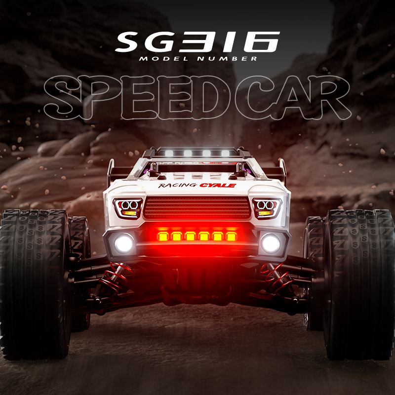 ZLL SG316 MAX 1:16 High Speed  - Kids Toys Delivery Today のレビューと価格