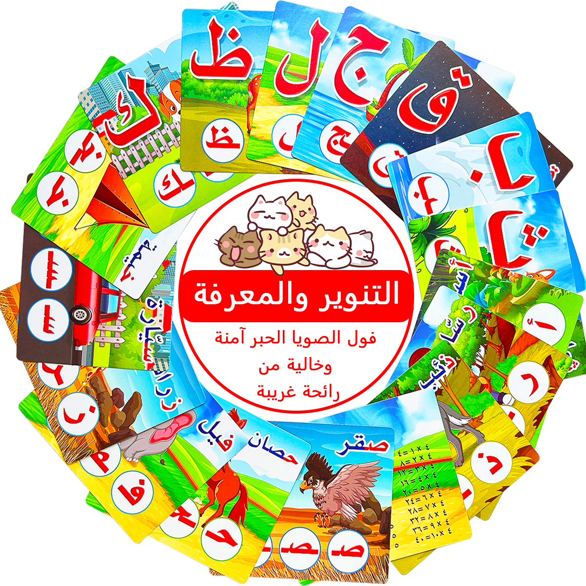 Arabic Alphabet Flash Cards Se - Educational Flash Card のレビューと価格